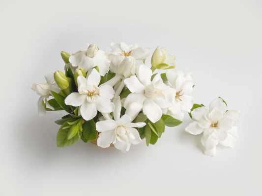 Gardenia 2oz Room + Linen Spray